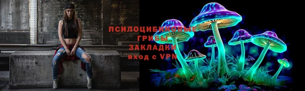ГАЛЛЮЦИНОГЕННЫЕ ГРИБЫ Семёнов